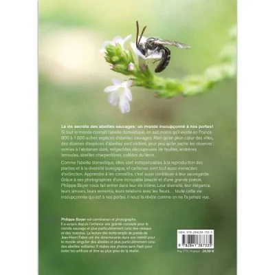 Abeilles sauvages