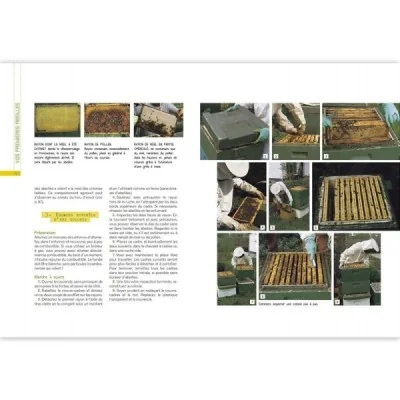 L’élevage des abeilles
