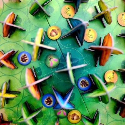 Photosynthesis – jeu de société Photosynthesis – jeu de société