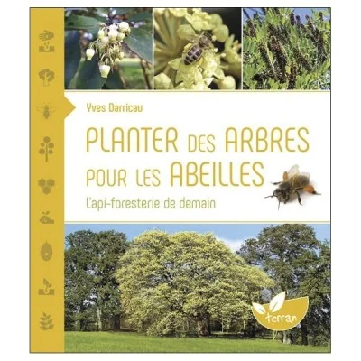 Planter des arbres pour les abeilles – L’api-foresterie de demain