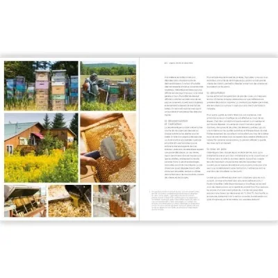 Le miel – L’art des abeilles, l’or de la ruche