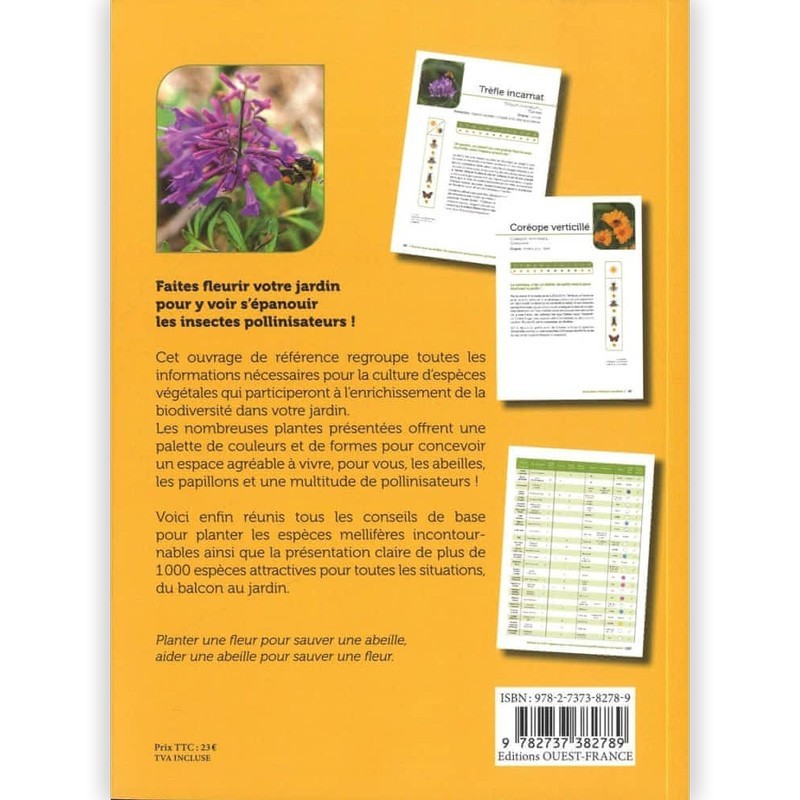 Planter pour les abeilles, papillons et autres insectes pollinisateurs