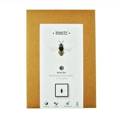 Kit puzzle 3D Abeille – Ailes transparentes