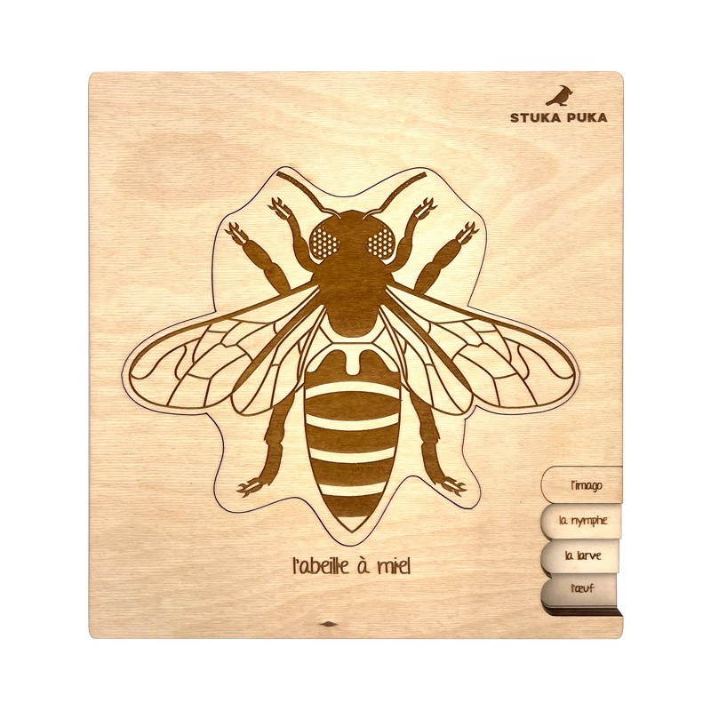 Puzzle en bois “Cycle de vie de l’abeille”