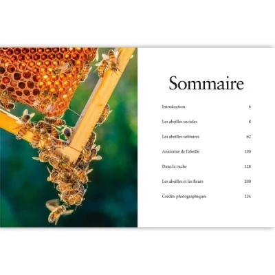 Les abeilles : vaillantes et essentielles