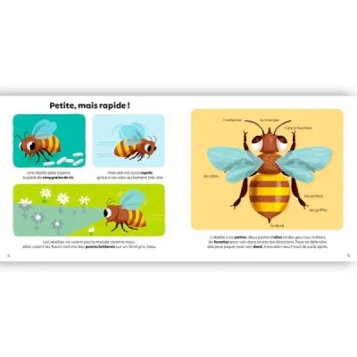 Les abeilles – Ma baby encyclopédie Les abeilles – Ma baby encyclopédie