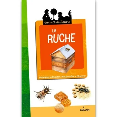 La ruche – Carnets de nature