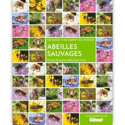 Abeilles sauvages
