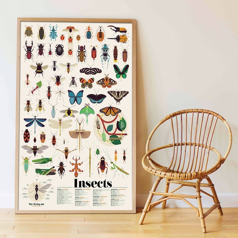 Poster pédagogique INSECTES + 44 stickers
