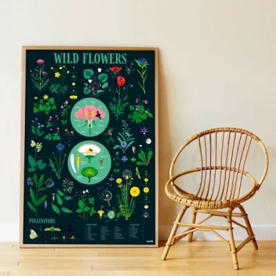 Poster pédagogique BOTANIQUE + 72 stickers