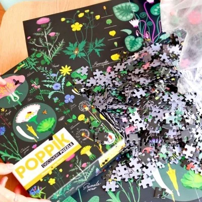 Puzzle éducatif BOTANIQUE 1000 pièces