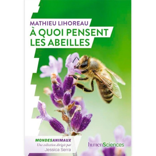A quoi pensent les abeilles