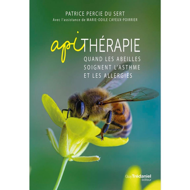 Apithérapie : quand les abeilles soignent l’asthme et les allergies