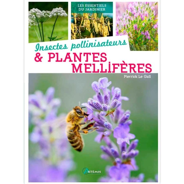 Insectes pollinisateurs & plantes mellifères