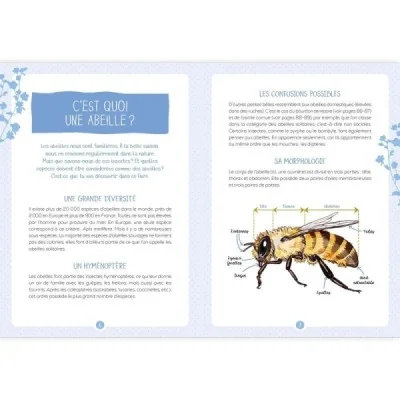 Les abeilles : les reconnaître, les comprendre, les protéger