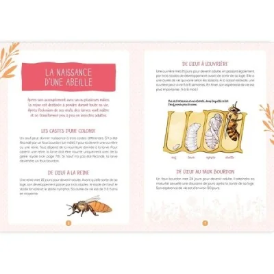 Les abeilles : les reconnaître, les comprendre, les protéger