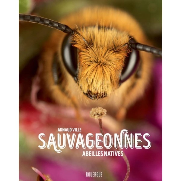 Sauvageonnes : abeilles natives