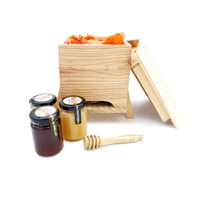 Coffret mini ruche Apiculture Remuaux