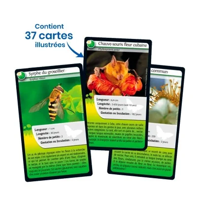 Cartes du défis nature Abeilles et autres pollinisateurs Cartes du défis nature Abeilles et autres pollinisateurs