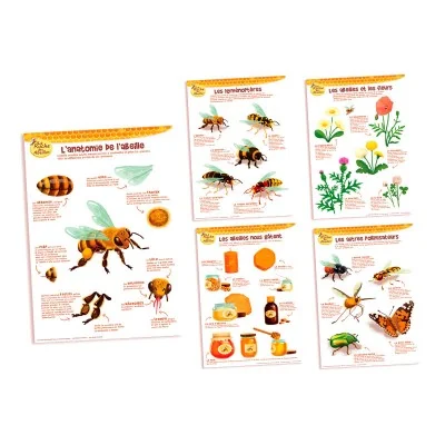 Kit de 5 posters pédagogiques - La ruche des abeilles Kit de 5 posters pédagogiques - La ruche des abeilles