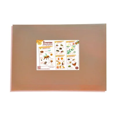 Kit de 5 posters pédagogiques - La ruche des abeilles Kit de 5 posters pédagogiques - La ruche des abeilles