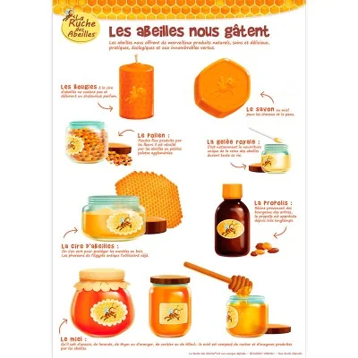 Kit de 5 posters pédagogiques - La ruche des abeilles Kit de 5 posters pédagogiques - La ruche des abeilles