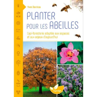 Planter des arbres pour les abeilles : l'api-foresterie adaptée aux espaces et aux enjeux d'aujourd'hui Planter des arbres pour les abeilles : l'api-foresterie adaptée aux espaces et aux enjeux d'aujourd'hui