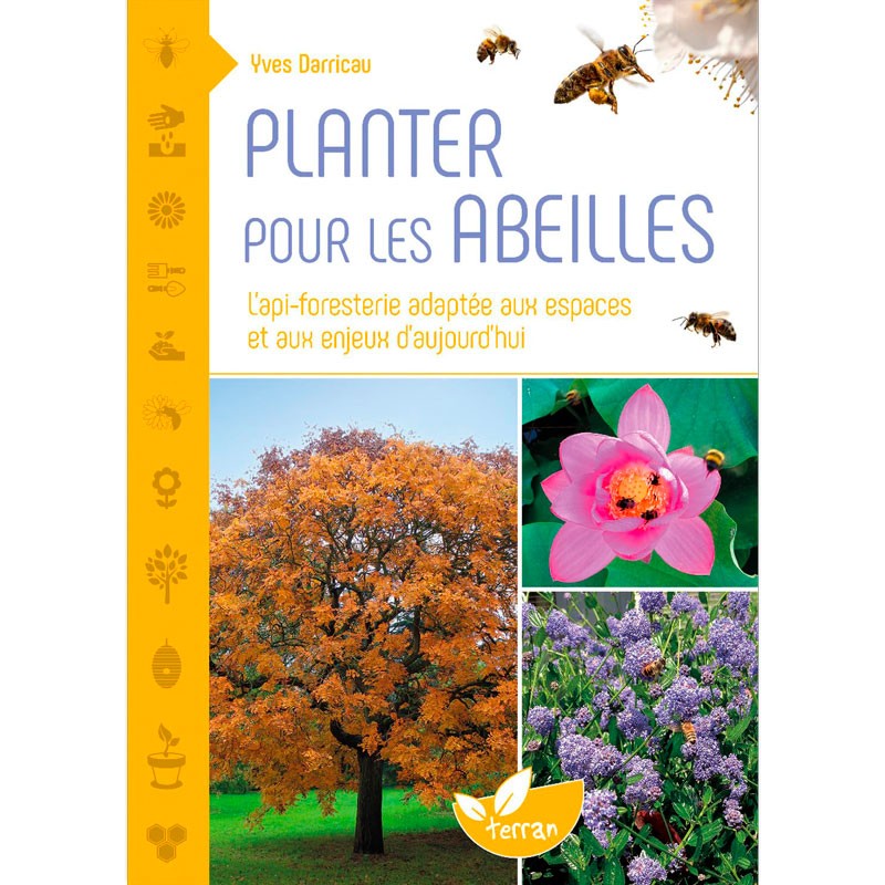 Planter des arbres pour les abeilles : l'api-foresterie adaptée aux espaces et aux enjeux d'aujourd'hui