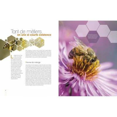 Livre "Abeilles, un univers fabuleux"