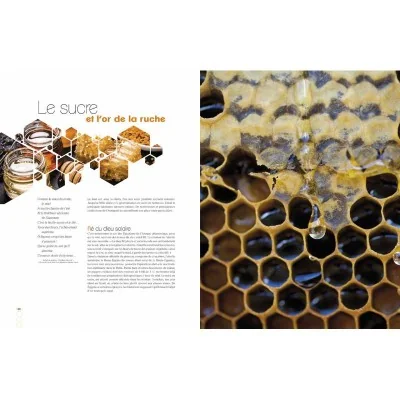 Livre "Abeilles, un univers fabuleux"