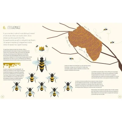 Extrait "L'essaimage" du livre "Le monde des abeilles" Extrait "L'essaimage" du livre "Le monde des abeilles"