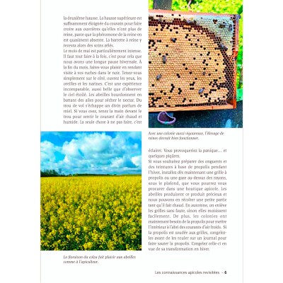 Extrait du livre "Manuel d'apiculture douce : comprendre et respecter les abeilles"