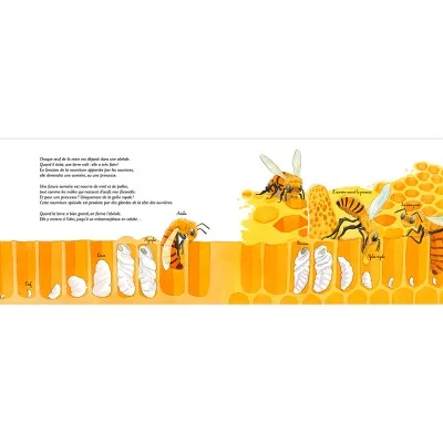 Extrait du livre "Au royaume des abeilles : apidologie" Extrait du livre "Au royaume des abeilles : apidologie"