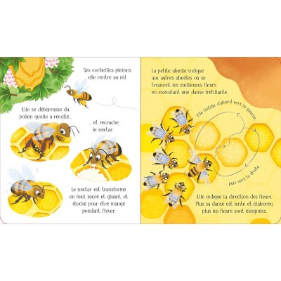 Extrait du livre "L'abeille" de la collection "Le cycle de la vie"