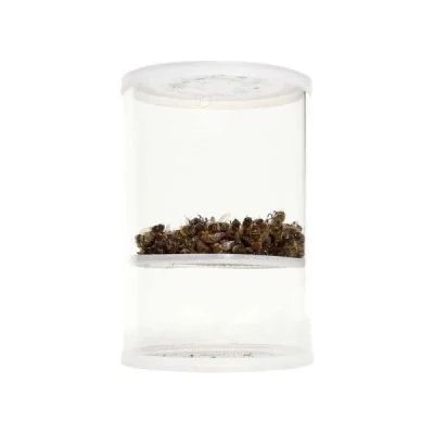 Testeur varroa