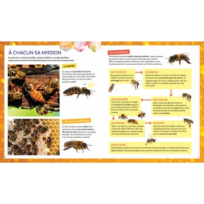 Extrait du livre "Pas si bête : l'abeille à miel" Extrait du livre "Pas si bête : l'abeille à miel"
