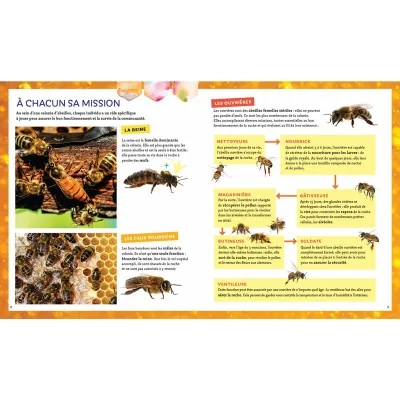Extrait du livre "Pas si bête : l'abeille à miel" Extrait du livre "Pas si bête : l'abeille à miel"