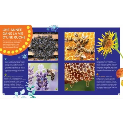 Extrait du livre "Pas si bête : l'abeille à miel" Extrait du livre "Pas si bête : l'abeille à miel"