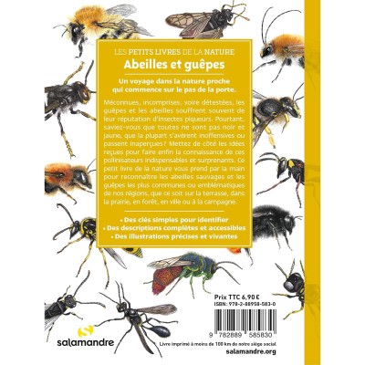Quatrième de couverture du livre "Abeilles et guêpes" Quatrième de couverture du livre "Abeilles et guêpes"