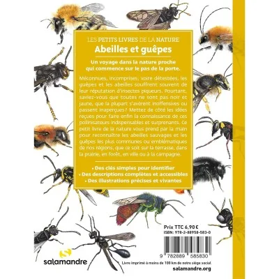 Quatrième de couverture du livre "Abeilles et guêpes" Quatrième de couverture du livre "Abeilles et guêpes"
