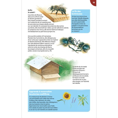 Extrait du livre "Carnets de nature : La ruche" - Nouvelle édition Extrait du livre "Carnets de nature : La ruche" - Nouvelle édition