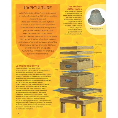 Extrait du livre "Les abeilles - la grande imagerie" Extrait du livre "Les abeilles - la grande imagerie"