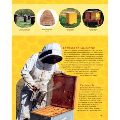 Extrait du livre "Les abeilles - la grande imagerie" Extrait du livre "Les abeilles - la grande imagerie"