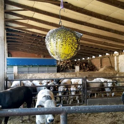 Sfera Trap + LED – dispositif chromatique jaune haute attractivité pour lutte naturelle contre les insectes
