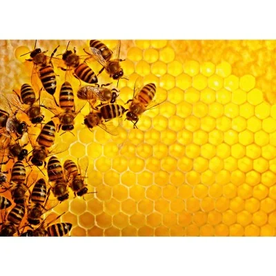 Puzzle 1000 pièces Ravensburger – La ruche aux abeilles, collection Challenge