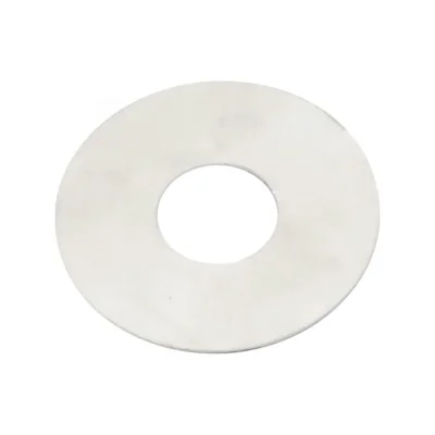 Disque inox Ø54 mm (1 mm d’épaisseur ) pour coupe-goutte Dana api MATIC Disque inox Ø54 mm (1 mm d’épaisseur ) pour coupe-goutte Dana api MATIC