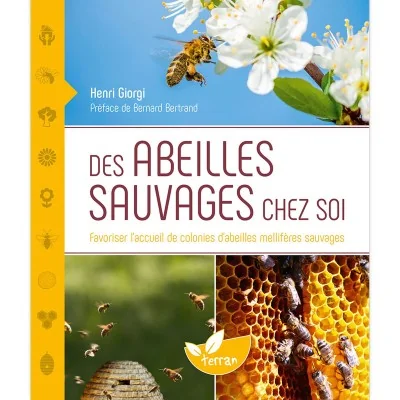 Des abeilles sauvages chez soi - Guide pour accueillir et protéger les abeilles mellifères sauvages.
