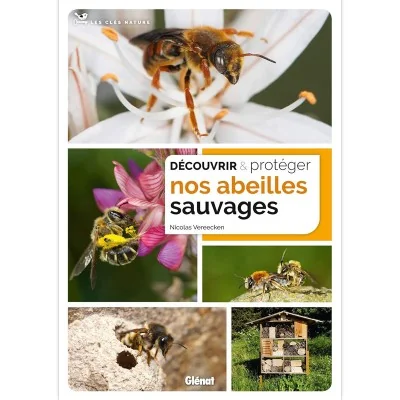 Guide illustré "Découvrir et protéger nos abeilles sauvages" pour comprendre, observer et préserver les abeilles sauvages.