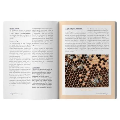 Extrait intérieur du Grand guide visuel Apiculture avec pages sur l’abeille, la colonie et le cycle biologique