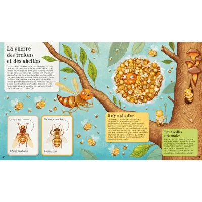 Extrait illustré du livre "Le monde des abeilles" sur les frelons, abeilles orientales et comportements de défense